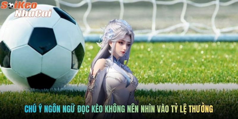 Chú ý ngôn ngữ đọc kèo không nên nhìn vào tỷ lệ thưởng
