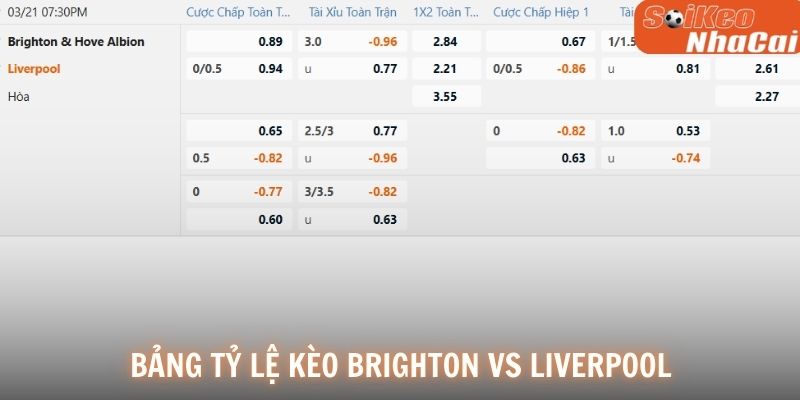 Bảng tỷ lệ kèo Brighton vs Liverpool
