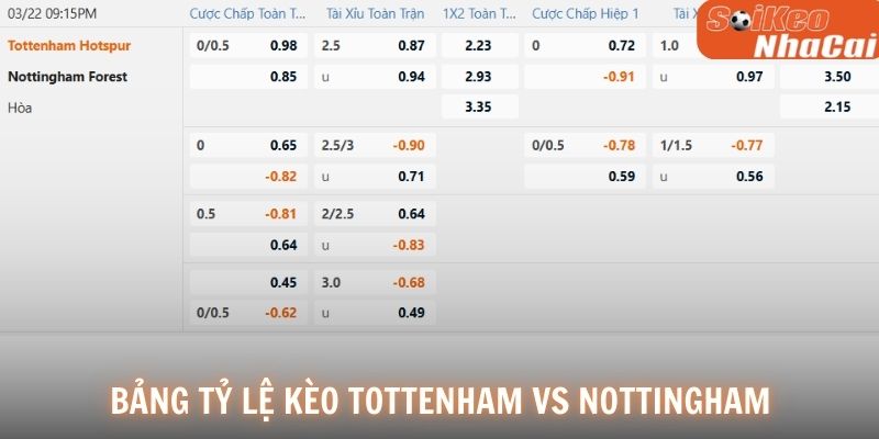 Soi kèo nhà cái Tottenham vs Nottingham Forest tỷ lệ thực tế