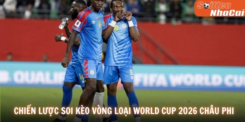 Chiến lược soi kèo vòng Loại World Cup 2026 Châu Phi