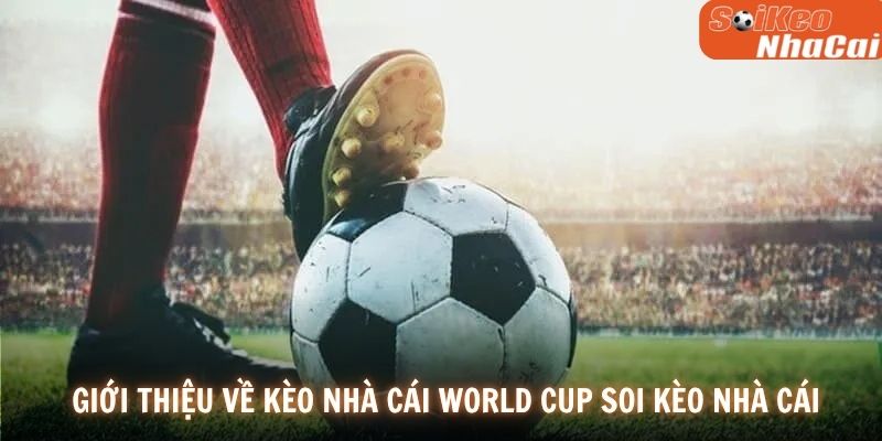 Giới thiệu tổng quan về kèo nhà cái World Cup Soi Kèo Nhà Cái