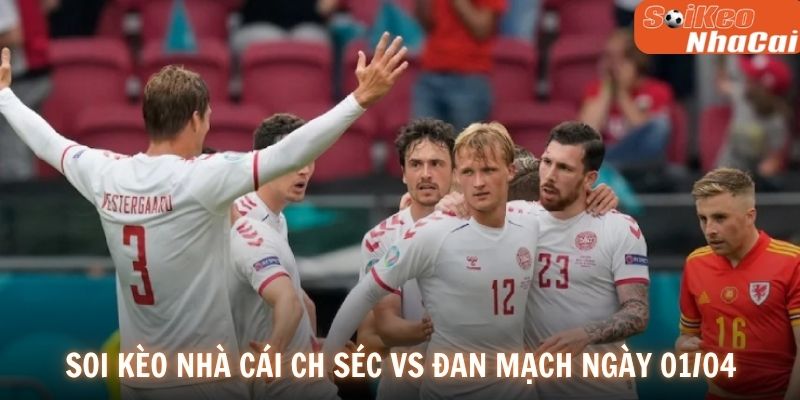 Soi kèo nhà cái CH Séc vs Đan Mạch ngày 01/04