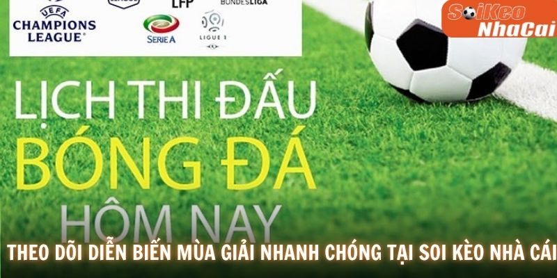 Theo dõi diễn biến mùa giải nhanh chóng tại Soi Kèo Nhà Cái