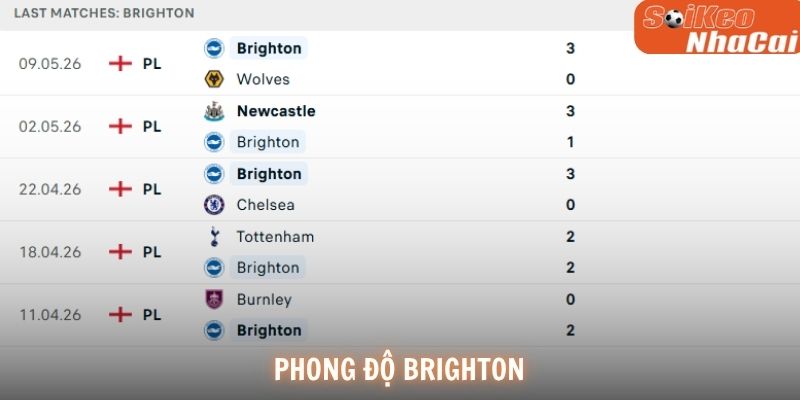 Phong độ Brighton